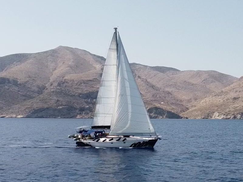 Albatross side profile