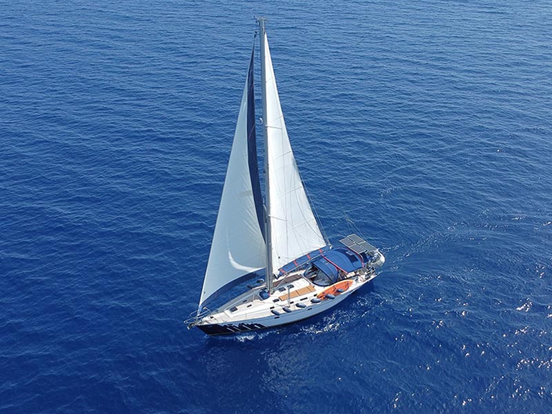Albatross sailing holiday view
