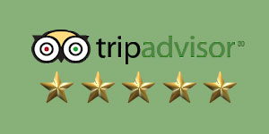 Trip Advisor 5 Star Rating